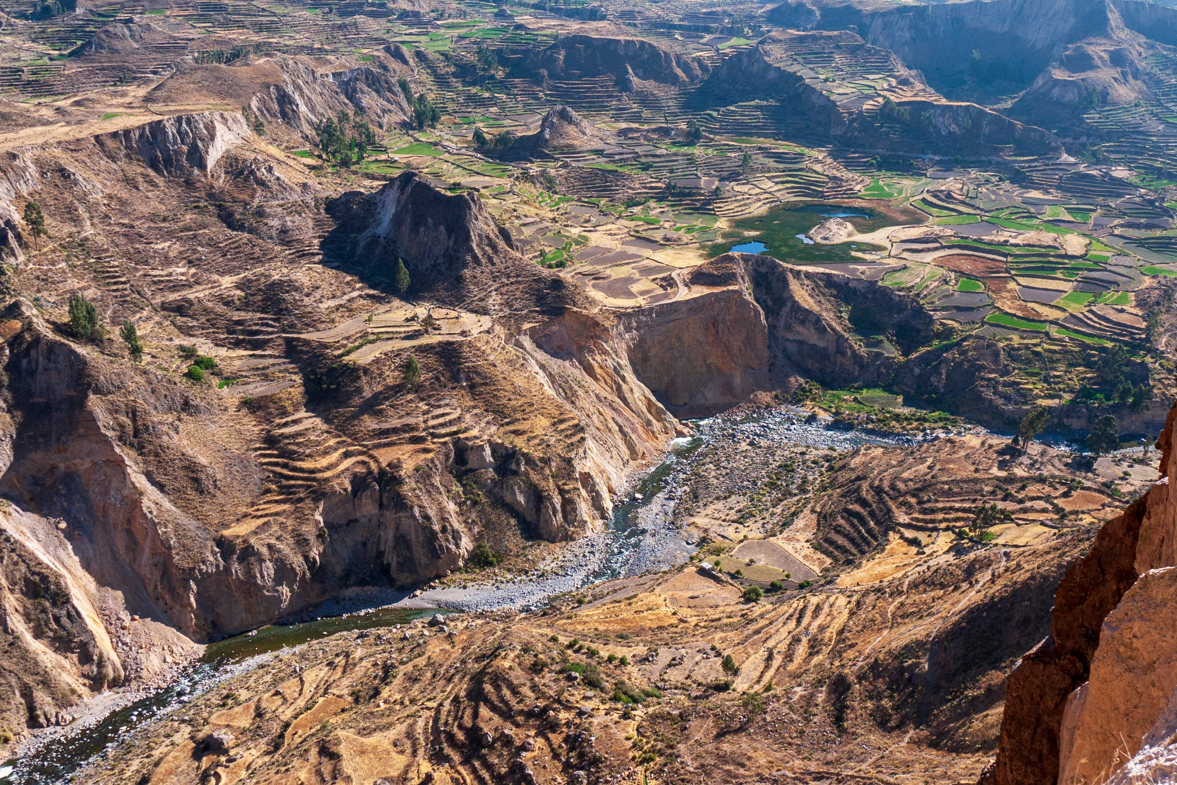 Colca_Canyon[1].webp